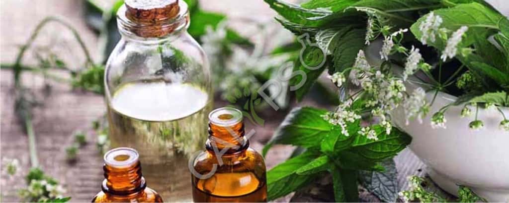 Buy Patchouli Essential Oil